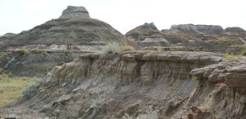 Dinosaur Provincial Park