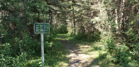 Trail Entrance