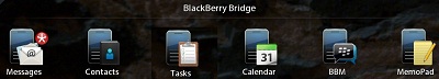 PlayBook Bridge