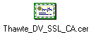 Thawte_DV_SSL_CA.cer