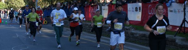 2008 Toronto Marathon
