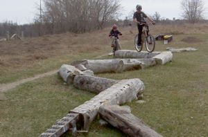 Logs at Challenge Park Mississauga 