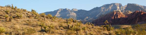 Red Rock Canyon - Nevada