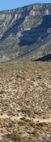 Hill side Red Rock Canyon - Nevada