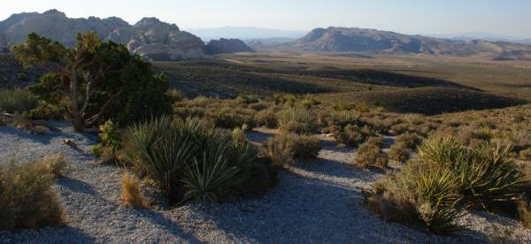 Overlooking the Red Rock Canyon - Nevada