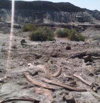 Dinosaur Provincial Park