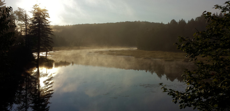 Fog on lake in Algonquin Park 