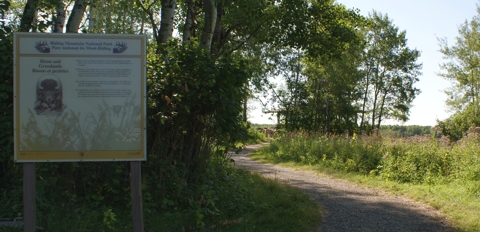 Bison Exhibit entrace