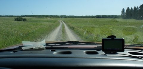 Driving in the Bison Range