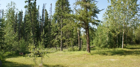 Clear Spring Bog Picnic Area