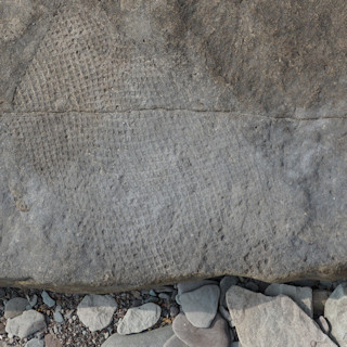 Joggins Fossil leave