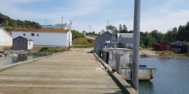 On the dock