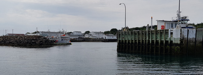 Digby Neck, Port