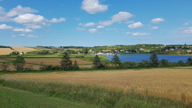 PEI Farm land 