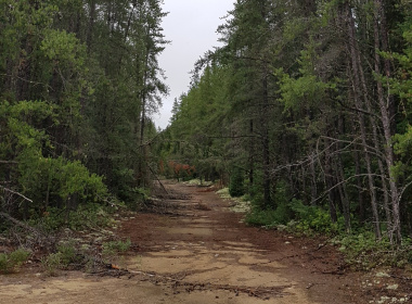 Tower Road side trail 