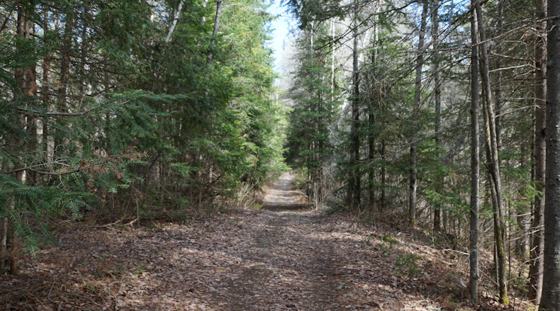 Finlayson Lake gets narrow 