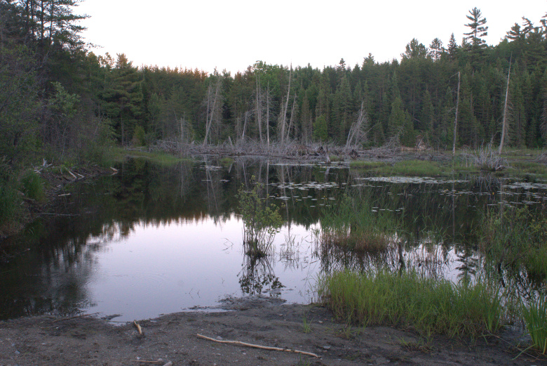 Road flooded by Beaver Pond 