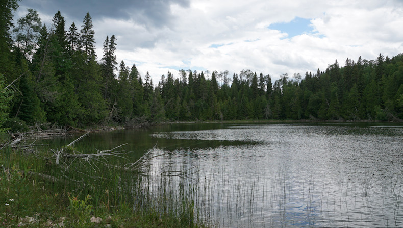 Redpine Lake 