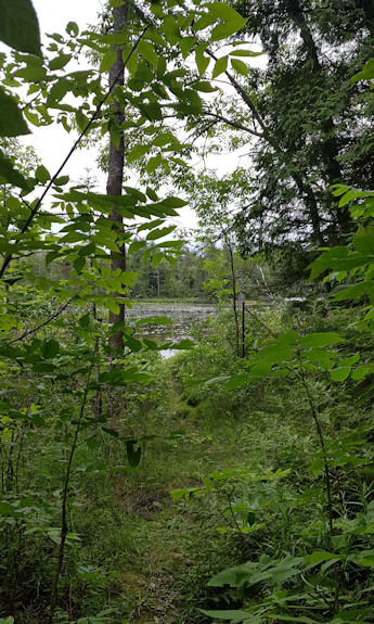 Campsite view to the lake