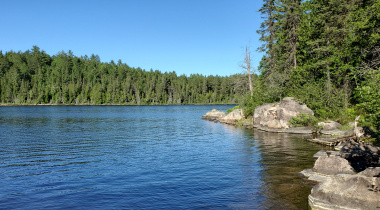 Thieving Bear Lake 