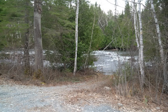 Trail into the river 