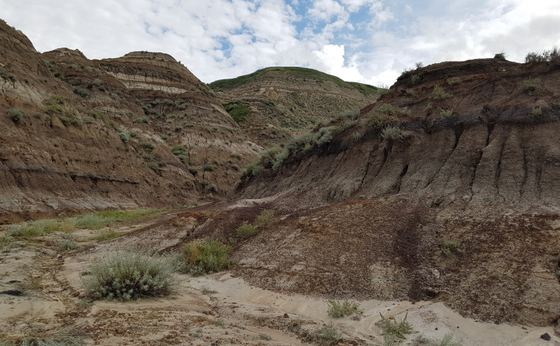 Alberta Badlands