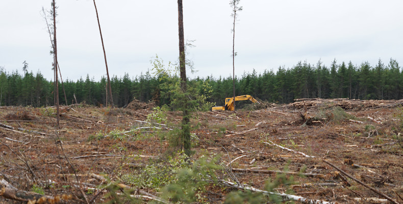 Forestry workder along ON 527 to Armstrong