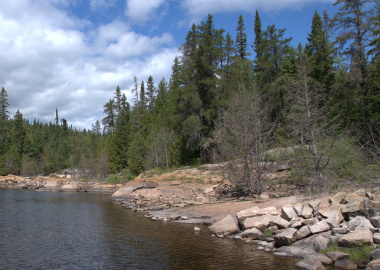 Lake along Silver Falls trail 