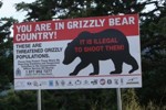 Grizzly Sign