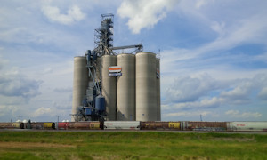 New style grain elevator 