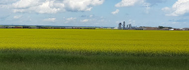 Saskatchewan Landing Provincial Park