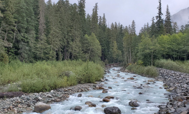 View on the river 