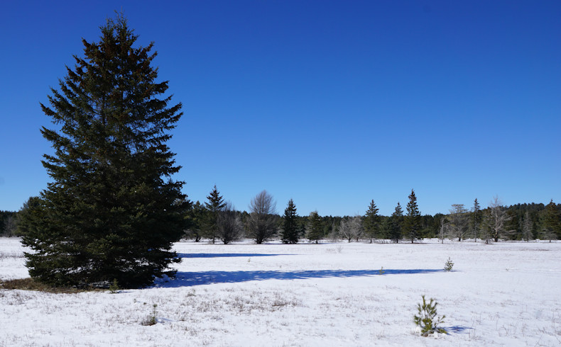 Algonquin Park Air Field in winter 