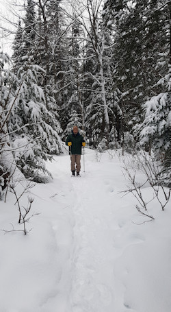 Snowshoeing in Algonquin 