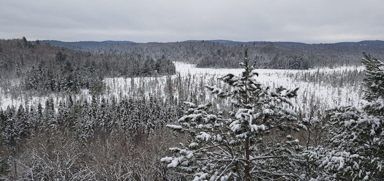 Algonquin Park Visitor Center 