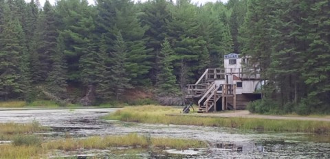 Alligator, the amphibious tug boat