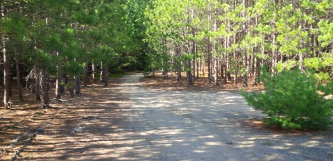 Minnesing bike trail