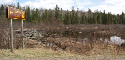 View from Costello Lake Picnic Area