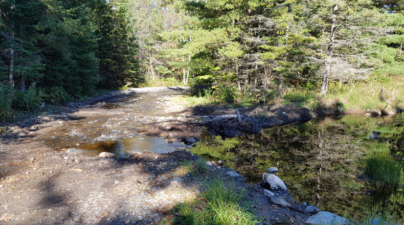 Ardbeg trail