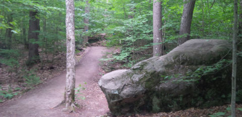 Hardwood Lookout trail