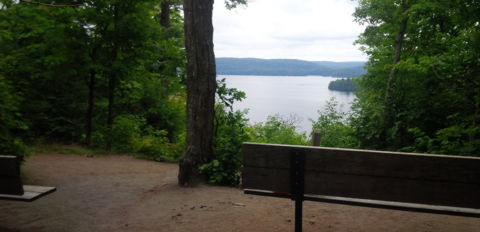 Hardwood Lookout view