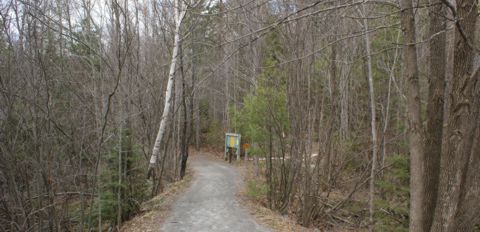 Lookout Trail Head