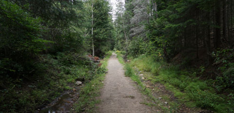 Mizzi Lake Trail on old railway track