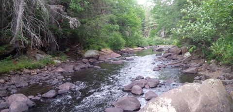 The Whiskey Rapids