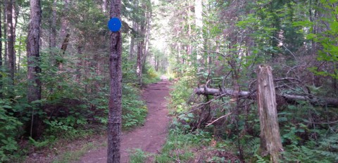 Whiskey Rapids Trail path