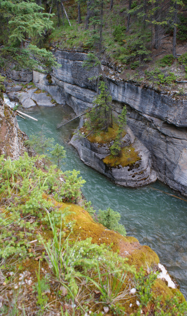 Maligne Canyon Hiking Trail