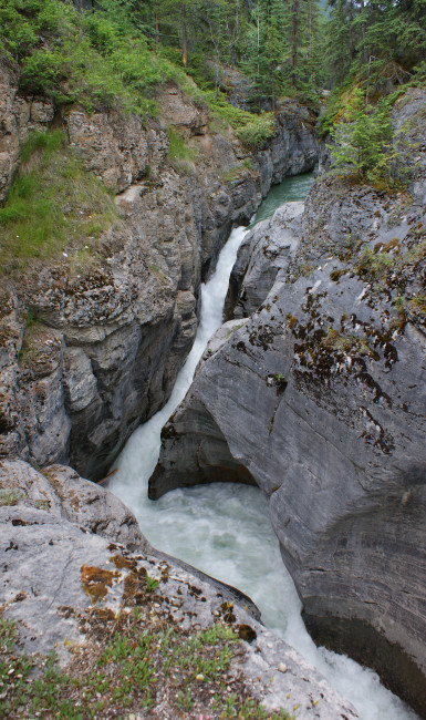 Maligne Canyon Hiking Trail