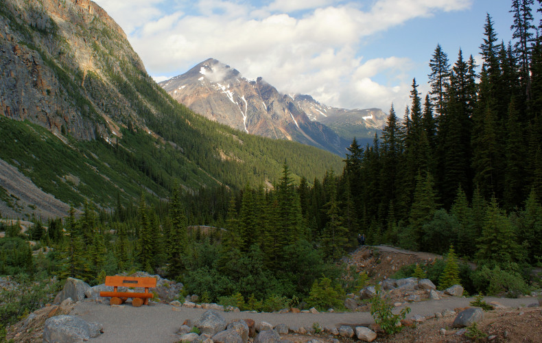 Hiking trail to the Cavell Clacier