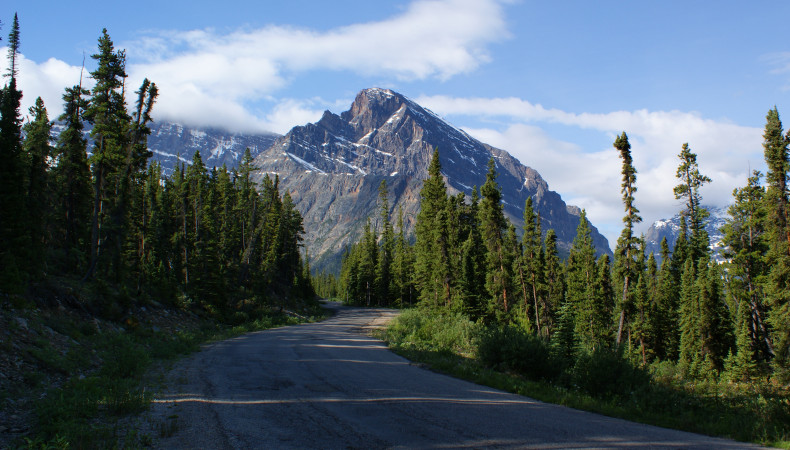 Road to the Cavell Clacier Parking Lot