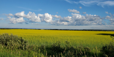 Map of Farmland 